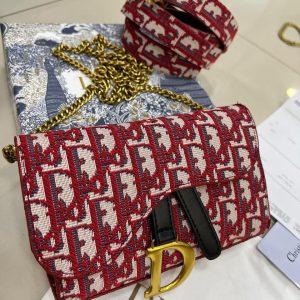 Dior Oblique Canvas Saddle Wallet on Chain Bag con Cinturón